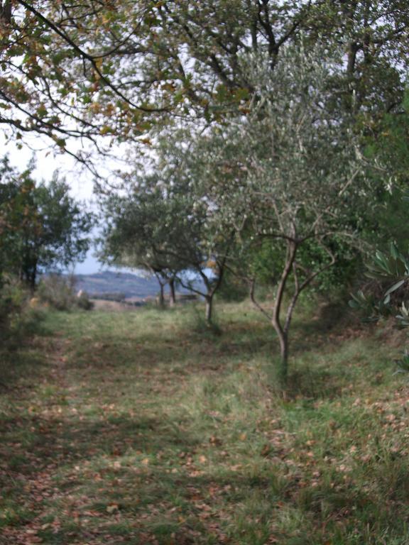 Poggio Del Conero Villa Екстериор снимка
